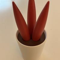 Sottopentola Spicy Cereus