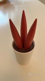 Sottopentola Spicy Cereus