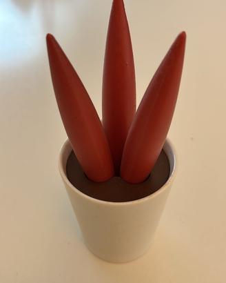 Sottopentola Spicy Cereus