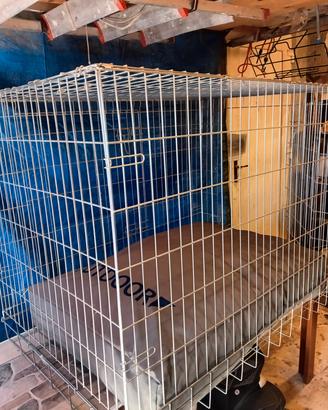 kennel per cane di taglia grande
