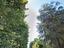 Immagine 12