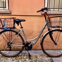 Bici olandese con grandi cestelli