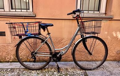 Bici olandese con grandi cestelli