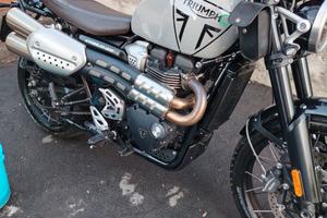 Triumph scrambler 1200