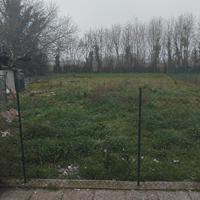 giarfino