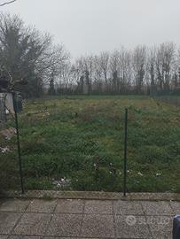 giarfino
