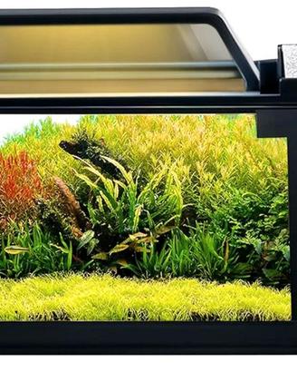 acquario per Pesci 