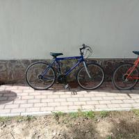Mountain Bike MTB