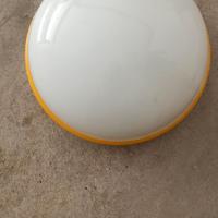 Plafoniere 