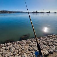  Canna da pesca spinning/da traino