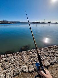  Canna da pesca spinning/da traino