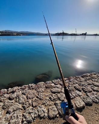  Canna da pesca spinning/da traino