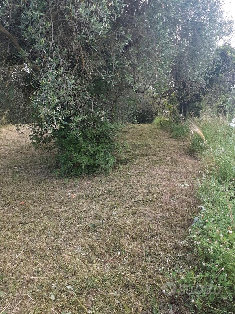 Terreno pregiato Reg. Edif. ind_cub.ra +49 - Vista 3