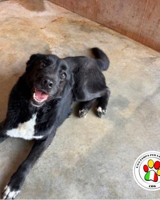 HANNA dal musetto simpatico