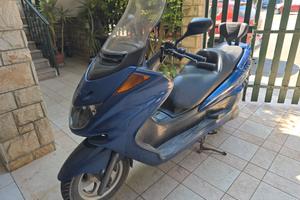 majesty 250