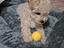 Immagine 4