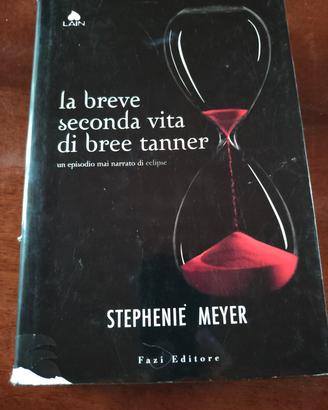 La breve seconda vita di breve tanner