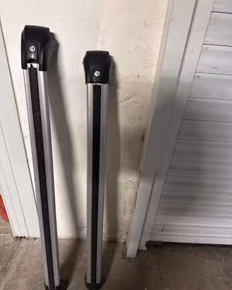 Box da tetto baule porta tutto anche sci