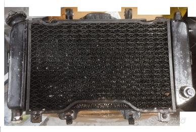 RADIATORE ACQUA E VENTOLA YAMAHA TDM 850 4TX 97-01