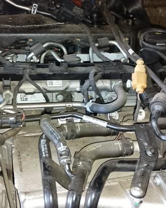 Motore Volkswagen Audi DGD DGDA