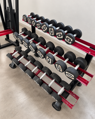 Set Manubri Professionali 2–30 kg +3 Rastrelliera