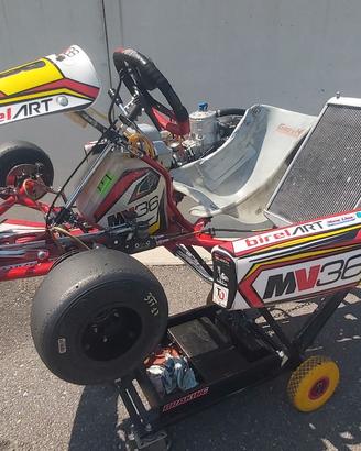 go kart birelart 