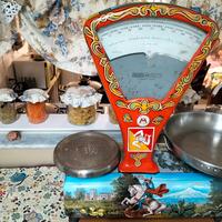 Bilancia professionale 