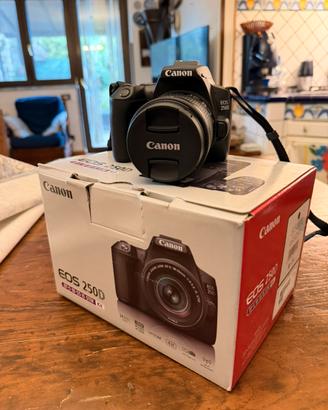 Canon EOS 250d kit 18-55 MAI USATA