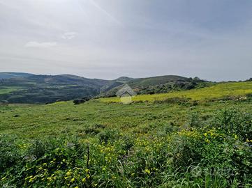 TERRENO A CASTELLAMMARE DEL GOLFO