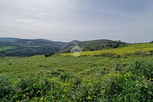 TERRENO A CASTELLAMMARE DEL GOLFO