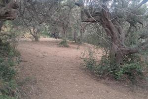 Terreno agricolo non edificabile