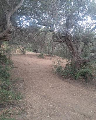 Terreno agricolo non edificabile