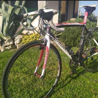 Bici da corsa in carbonio Maestro perfetta