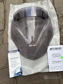 Cupolino mra BMW R1250R
