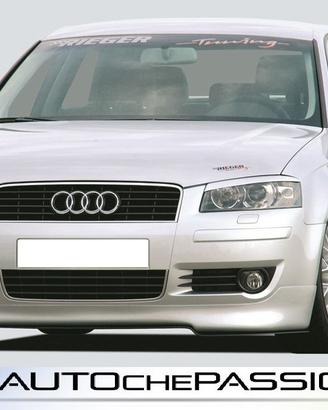 Sotto paraurti anteriore per A3 8P dal 2003 2005