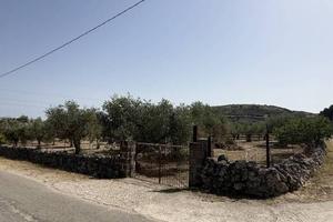 Terreno di 3500 m² a Florinas