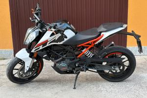 Duke 125 2021