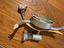 Immagine 2