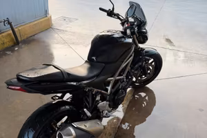 SUZUKI SV650 2022
