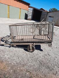 bascula pesa bestiame 