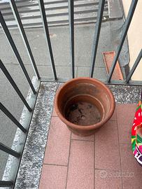 Vasi in terracotta