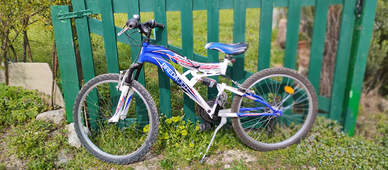 Bici Mountain bike Ruote da 24'