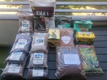 Lotto Terricci e Substrati Professionali 