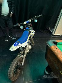 Lem 110 2024