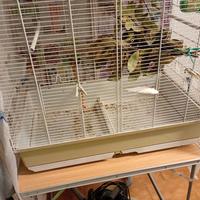 GABBIA GRANDE PER UCCELLI A NONANTOLA MODENA 