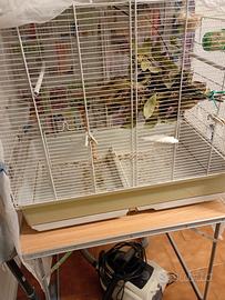 GABBIA GRANDE PER UCCELLI A NONANTOLA MODENA 