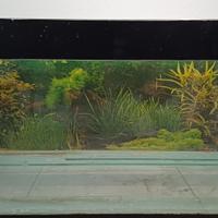 acquario 200 litri