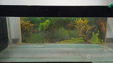 acquario 200 litri