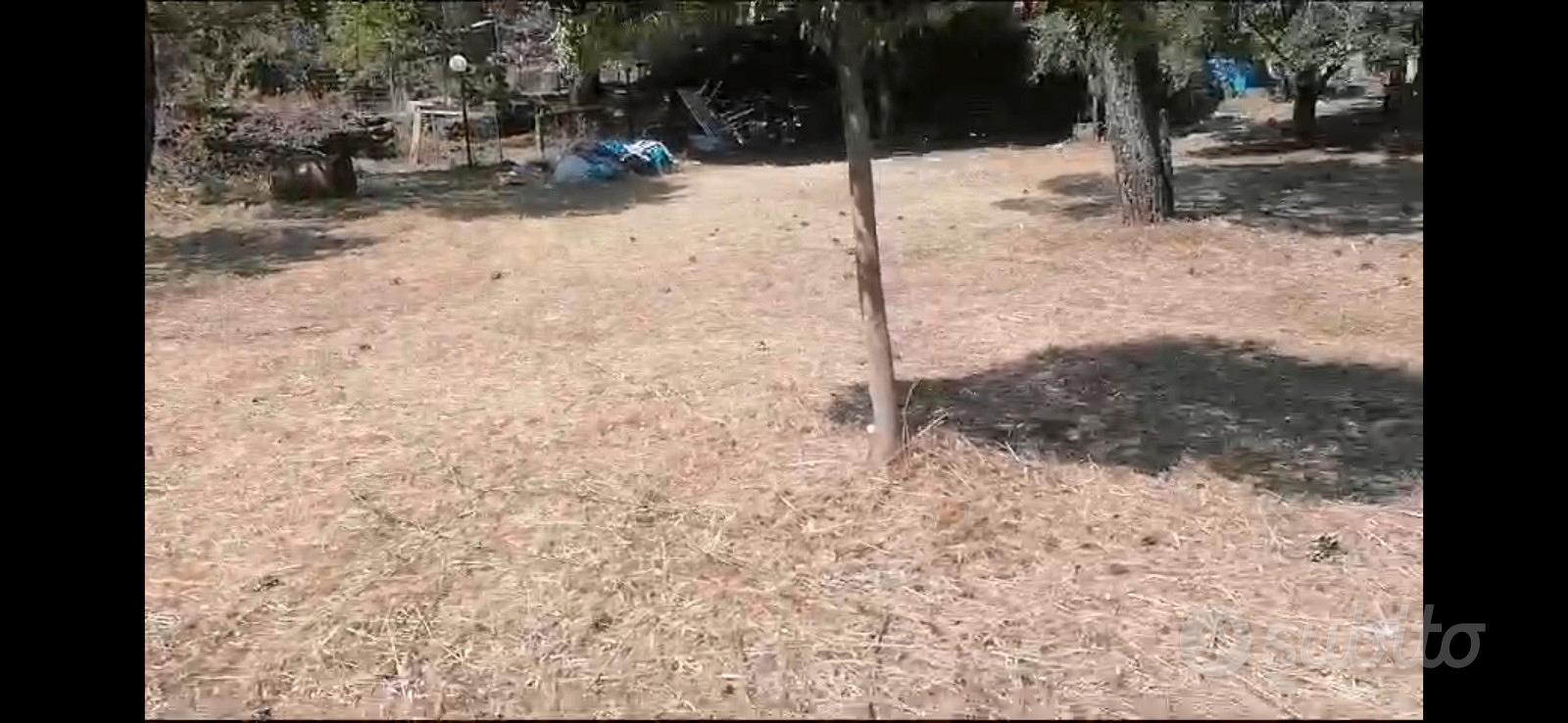 Esclusivo terreno edificabile di 1.200 mq - Vista 2