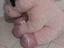 Immagine 2